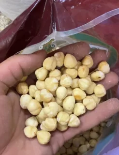 فندق مغز خام ترکیه